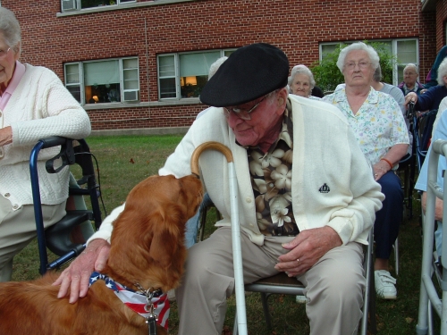 Pet store nursing home